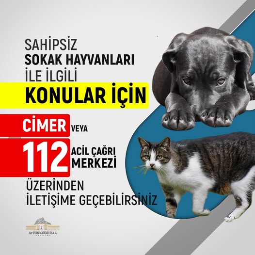 Afyonkarahisar'da Sokak Hayvanlarına Yardım İhtiyacı Olanlar İçin İletişim Bilgileri Duyuruldu